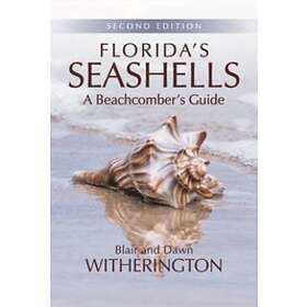 Blair Witherington: Florida's Seashells