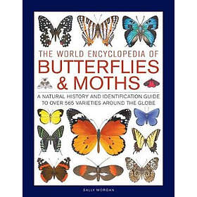 Sally Morgan: Butterflies &; Moths, The World Encyclopedia of