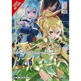 Reki Kawahara, Reki Kawahara: Sword Art Online, Vol. 17 (light novel)