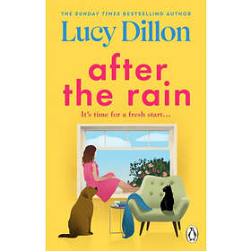 Lucy Dillon: After the Rain