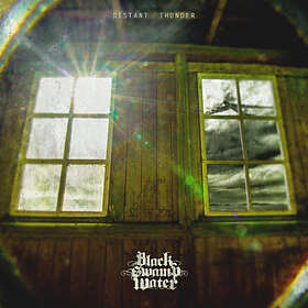 Black Swamp Water - Distant Thunder LP