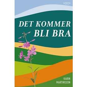 Karin Martinsson: Det kommer bli bra