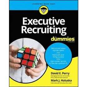DE Perry: Executive Recruiting For Dummies