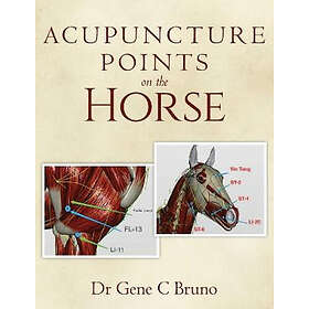 Gene C Bruno: Acupuncture Points on the Horse