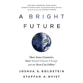 Joshua S Goldstein: A Bright Future