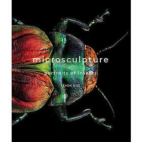 Levon Biss: Microsculpture