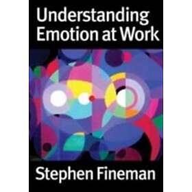 Stephen Fineman: Understanding Emotion at Work