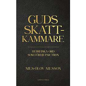 Nils-Olov Nilsson: Guds skattkammare Hebreiska ord som fördjupar tron
