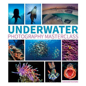 A Mustard: Underwater Photography Masterclass