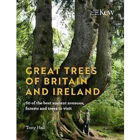 Tony Hall: Great Trees of Britain and Ireland