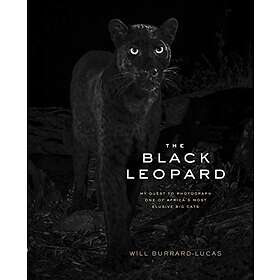 Will Burrard-Lucas: The Black Leopard