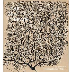Larry Swanson, Eric Newman, Alfonso Araque: The Beautiful Brain