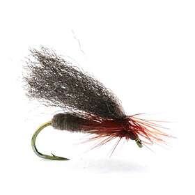 Umpqua flugor Renaflua Brown 12