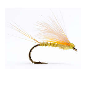 Umpqua flugor Cdc Biot Dun Emerger PMD #16