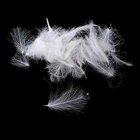 Fly-Dressing Premium CDC White