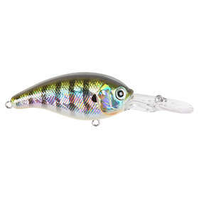 Strike Pro Crankee Diver 5,5cm, 11gr Fire Tiger