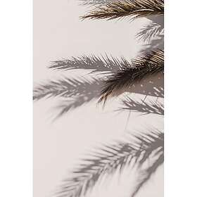 Venture Home Shadow Poster Beige 50x70