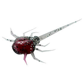 13 Fishing Coconut Crab Panfish Plastics 6-pack