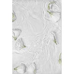 Venture Home White Poster roses 50x70