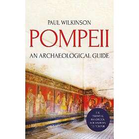 Paul Wilkinson: Pompeii