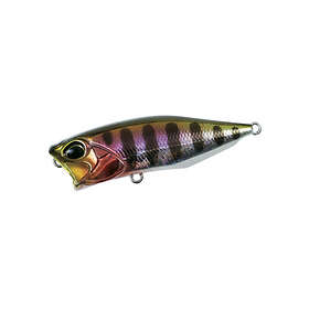 Duo International Realis Popper 64 Ghost Minnow