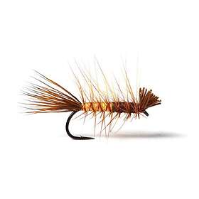 Guideline Super Dyret Brown/Yellow #14