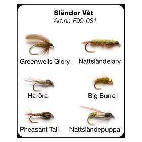 Darts Flugor Sländor Våt