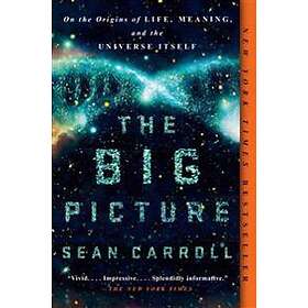 Sean Carroll: Big Picture