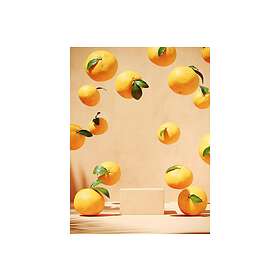 Venture Home Lemons Beige Poster 30x40