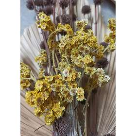 Venture Home Posters Bouquet Grön/gul 21x30 60068-001