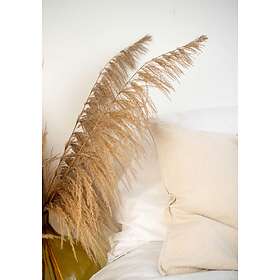 Venture Home Posters Bohemian Beige 21x30