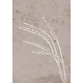 Venture Home Seeds Beige Poster 21x30