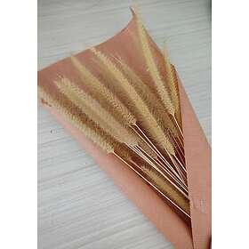 Venture Home Posters Dry Flowers 50x70