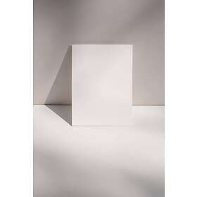 Venture Home Canvas Poster Beige 50x70