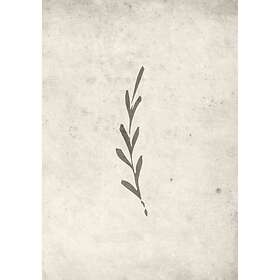 Venture Home Posters Autumn Leaf 70x100 Cm