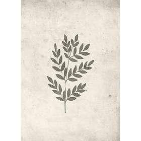 Venture Home Spring leaf Poster