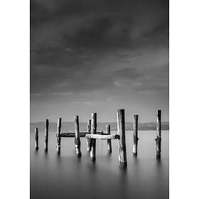 Venture Home Posters Ocean Sort/vit 21x30