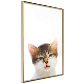 Artgeist Poster Affisch Vexed Cat [Poster] 30x45 A3-DRBPRP0416m_zr