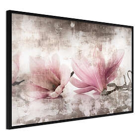 Artgeist Poster Affisch Magnolia Memory [Poster] 45x30 A3-DRBPRP0145m_cr