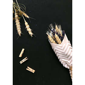 Venture Home Posters Flowers On 70x100