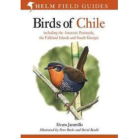 Alvaro Jaramillo: Birds of Chile