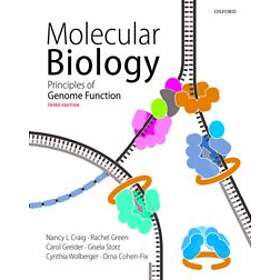 Nancy Craig: Molecular Biology