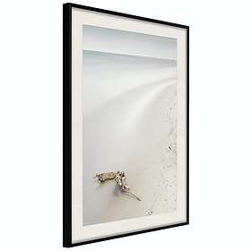 Artgeist Poster Affisch Coast [Poster] 30x45 A3-DRBPRP0710m_cr_pp