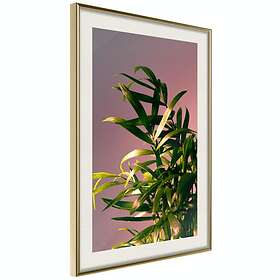 Artgeist Poster Affisch Botanical Detail [Poster] 20x30 A3-DRBPRP1009s_zr_pp
