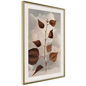 Artgeist Poster Affisch September [Poster] 20x30 A3-DRBPRP1384s_zr_pp