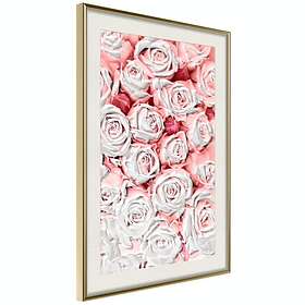 Artgeist Poster Affisch White Roses [Poster] 20x30 A3-DRBPRP0885s_zr_pp