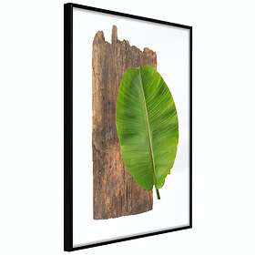 Artgeist Poster Affisch Authority of Nature [Poster] 20x30 A3-DRBPRP1110s_cr