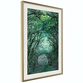 Artgeist Poster Affisch Green Pergola [Poster] 30x45 A3-DRBPRP0888m_zr_pp