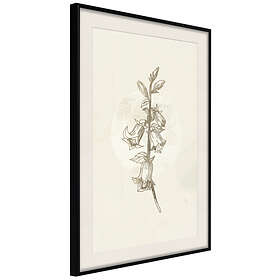 Artgeist Poster Affisch Field Pattern [Poster] 40x60 A3-DRBPRP1670l_cr_pp
