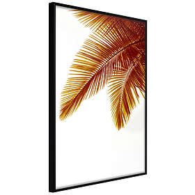 Artgeist Poster Affisch Goldilocks [Poster] 20x30 A3-DRBPRP1494s_cr